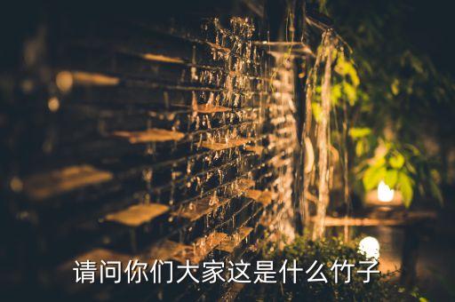 乌竹，求黑色竹子是什么品种