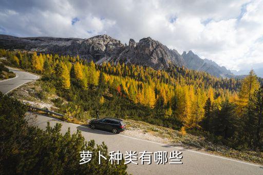 萝卜种类有哪些