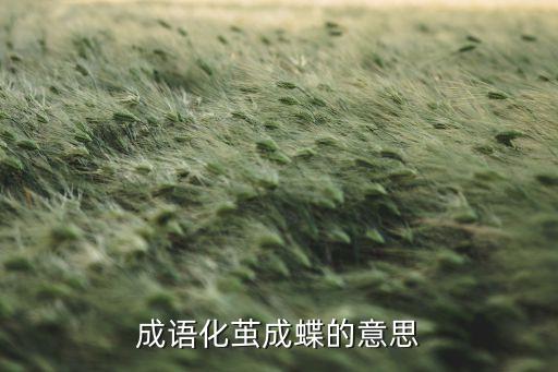 成语化茧成蝶的意思