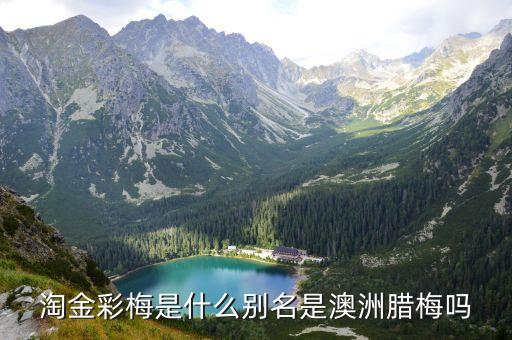澳洲腊梅，澳洲腊梅的花期是多长