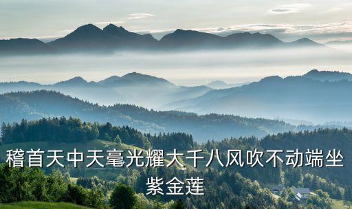 紫金莲，稽首天中天毫光耀大千八风吹不动端坐紫金莲