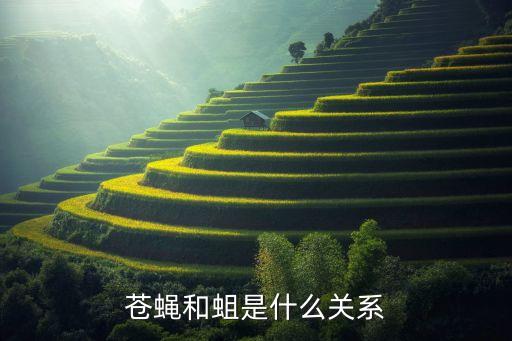 苍蝇和蛆是什么关系