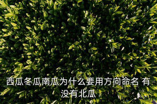 西瓜冬瓜南瓜为什么要用方向命名 有没有北瓜