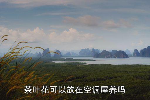 茶叶花可以放在空调屋养吗