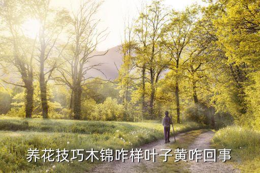 养花技巧木锦咋样叶子黄咋回事