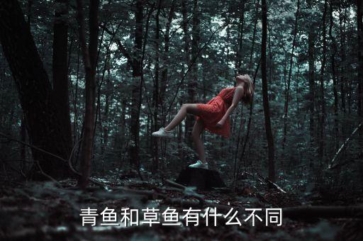 青鱼和草鱼的区别，在菜市场你是如何区分草鱼与青鱼