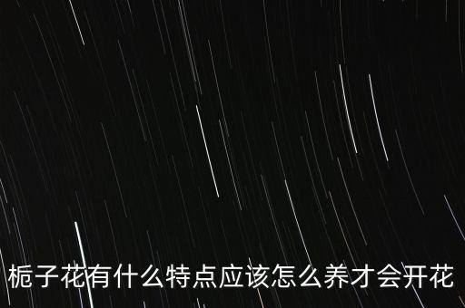 栀子花有什么特点应该怎么养才会开花
