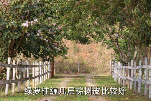 绿萝柱缠几层棕树皮比较好