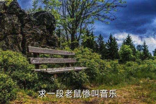 求一段老鼠惨叫音乐