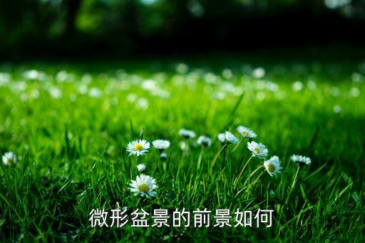 微形盆景的前景如何