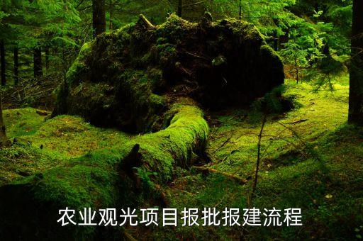 农业项目怎么审批的，石家庄农业项目如何申报