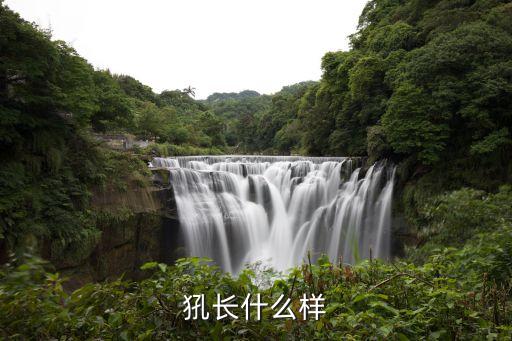 犼长什么样