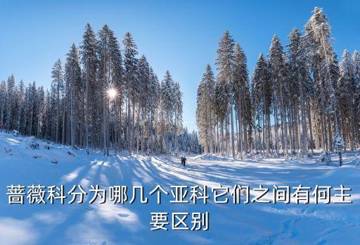 蔷薇科分为哪几个亚科它们之间有何主要区别