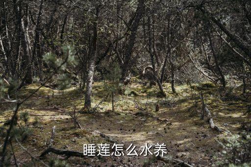 睡莲的种植方法，睡莲怎么养