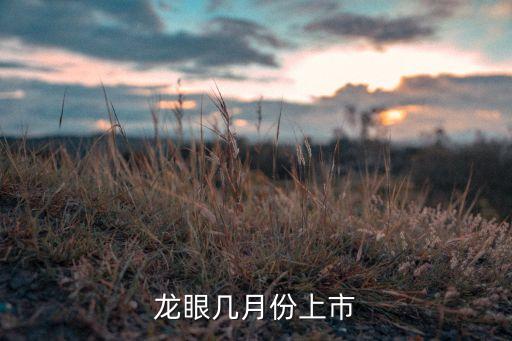 龙眼什么时候上市，新鲜桂圆什么时候上市