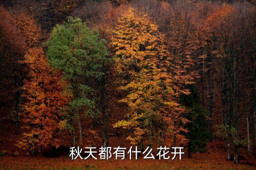 秋天有什么花开，秋天都有什么花开