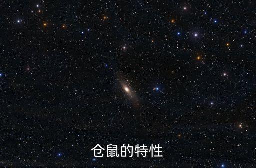 仓鼠的特点，仓鼠的特性