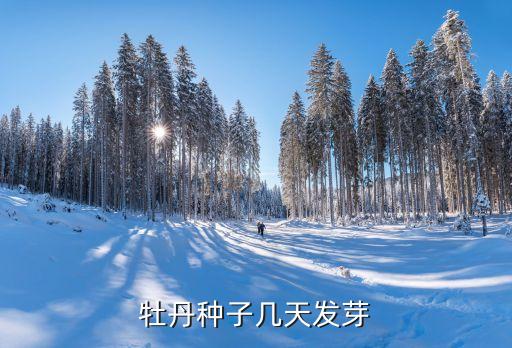 牡丹种子，隔年的牡丹花种子怎么种植