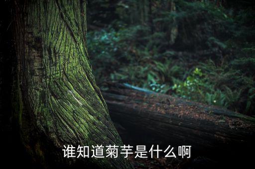 谁知道菊芋是什么啊