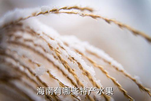 海南有哪些特产水果