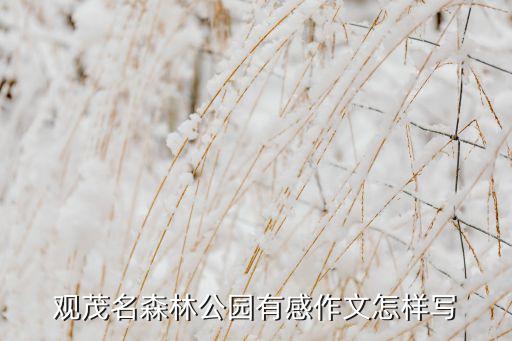 茂名农业公园作文怎么写，玉怀农业光园作文400字