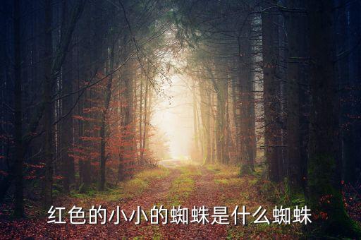 红色的小小的蜘蛛是什么蜘蛛