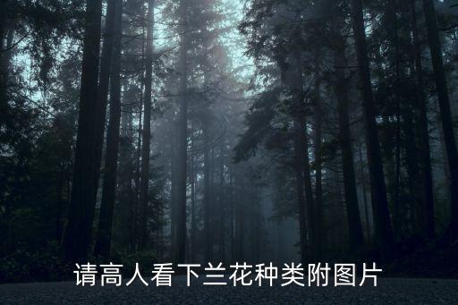 兰花图片大全，请高人看下兰花种类附图片