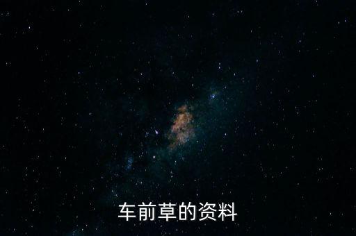 车前草的资料