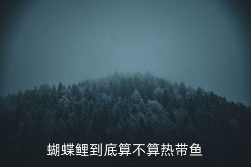 蝴蝶鲤鱼，蝴蝶鲤到底算不算热带鱼