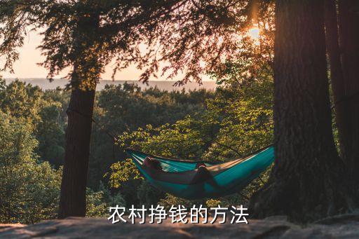 怎么把农业搞好赚钱，农民如何致富
