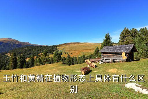 黄精和玉竹，玉竹和黄精在植物形态上具体有什么区别