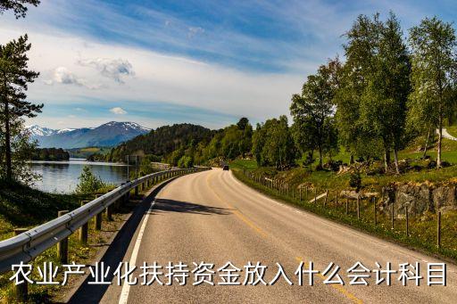 农业项目补贴怎么入帐，农业产业化扶持资金放入什么会计科目