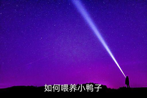 如何喂养小鸭子