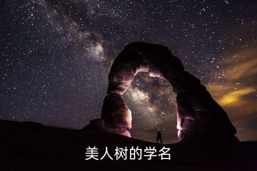 美人树，什么树叫美人树