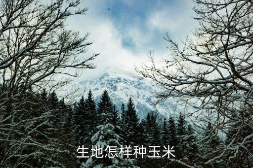生地怎样种玉米