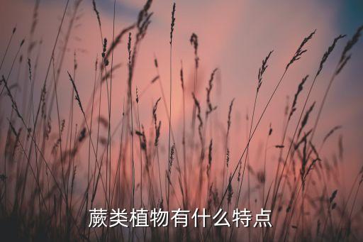 蕨类植物的主要特征，说明蕨类植物的主要特征