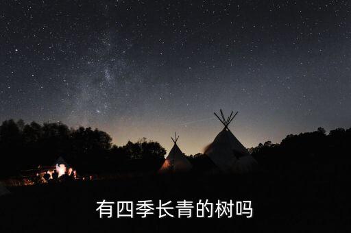 四季青树，哪几种树属四季青