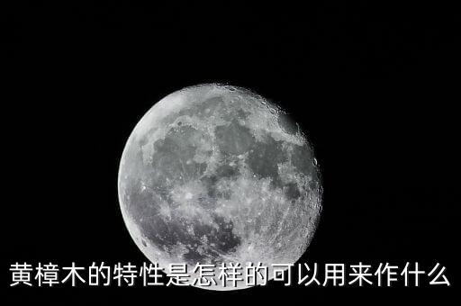 黄樟，樟木的种类有几种分别哪几种做木雕哪种最好