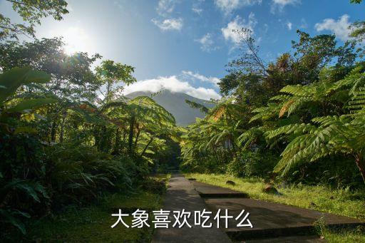 大象喜欢吃什么