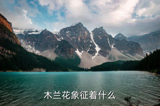 木兰花象征着什么