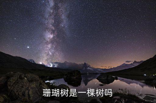珊瑚树是一棵树吗