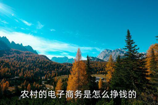 农业技术软件怎么盈利，农村的电子商务是怎么挣钱的