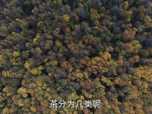 茶分为几类呢