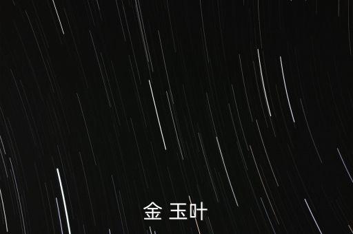 金枝叶，金 玉叶