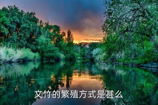 文竹怎么繁殖，文竹的繁殖方式是甚么