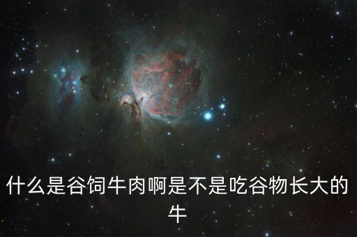什么是谷饲牛肉啊是不是吃谷物长大的牛
