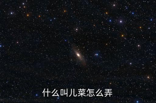 什么叫儿菜怎么弄