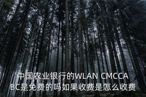 中国农业银行的WLAN CMCCABC是免费的吗如果收费是怎么收费