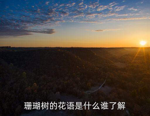 珊瑚树，珊瑚树是一棵树吗