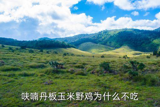 呋喃丹板玉米野鸡为什么不吃